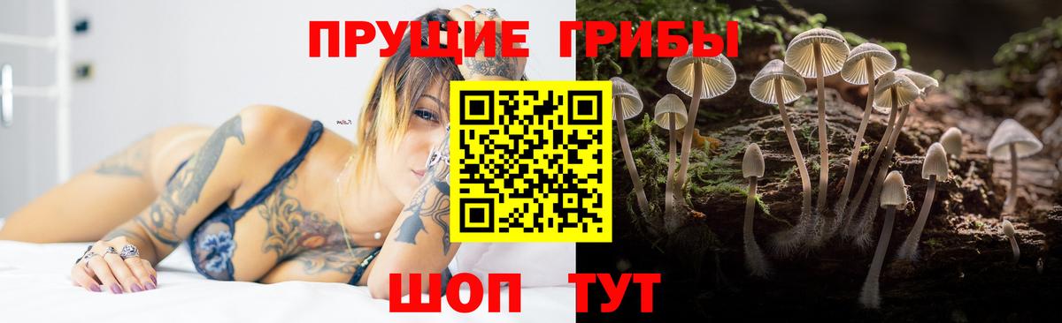 Псилоцибиновые грибы MAGIC MUSHROOMS Гай