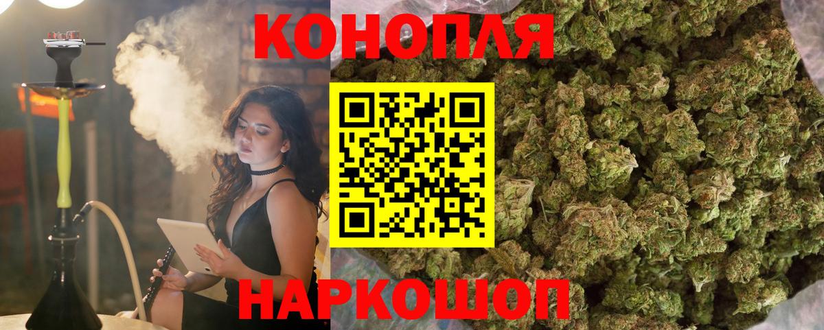Канабис VHQ Гай